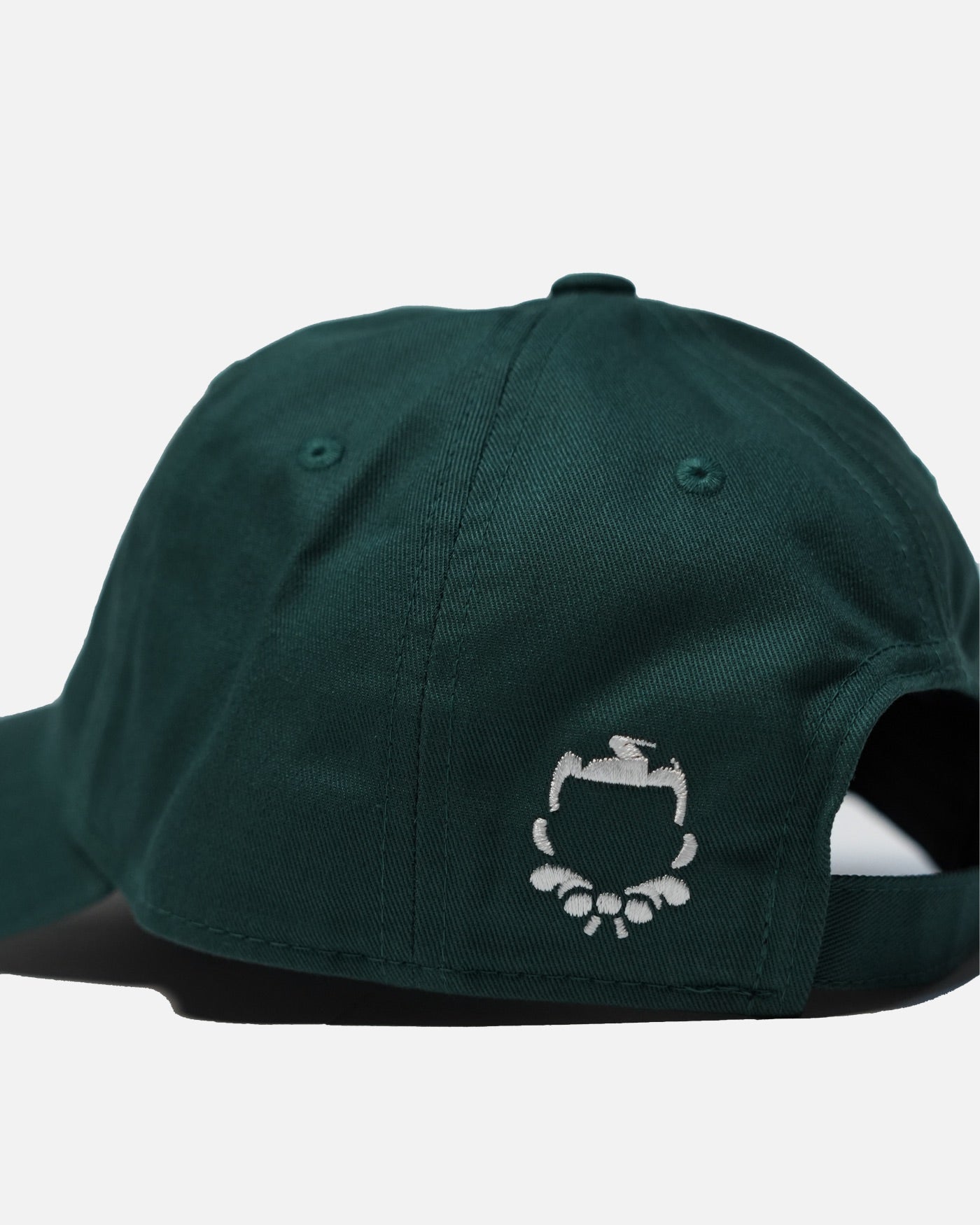 Antihero Studios cap in green, view 4